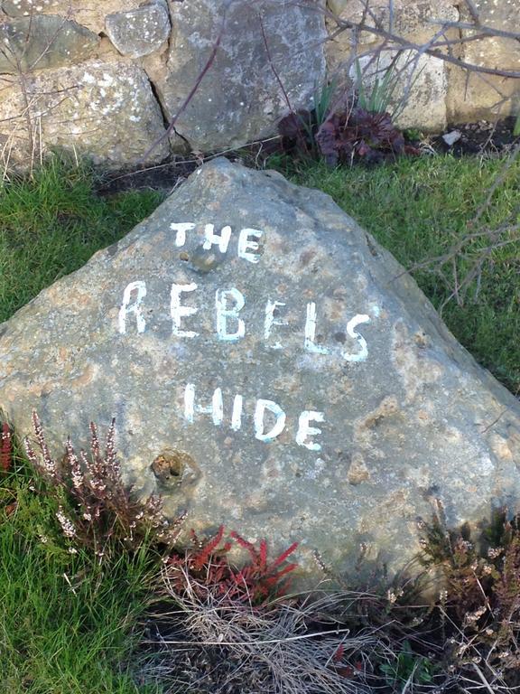 Rebels Hide -Self Check In Rooms Clifton  Exteriér fotografie